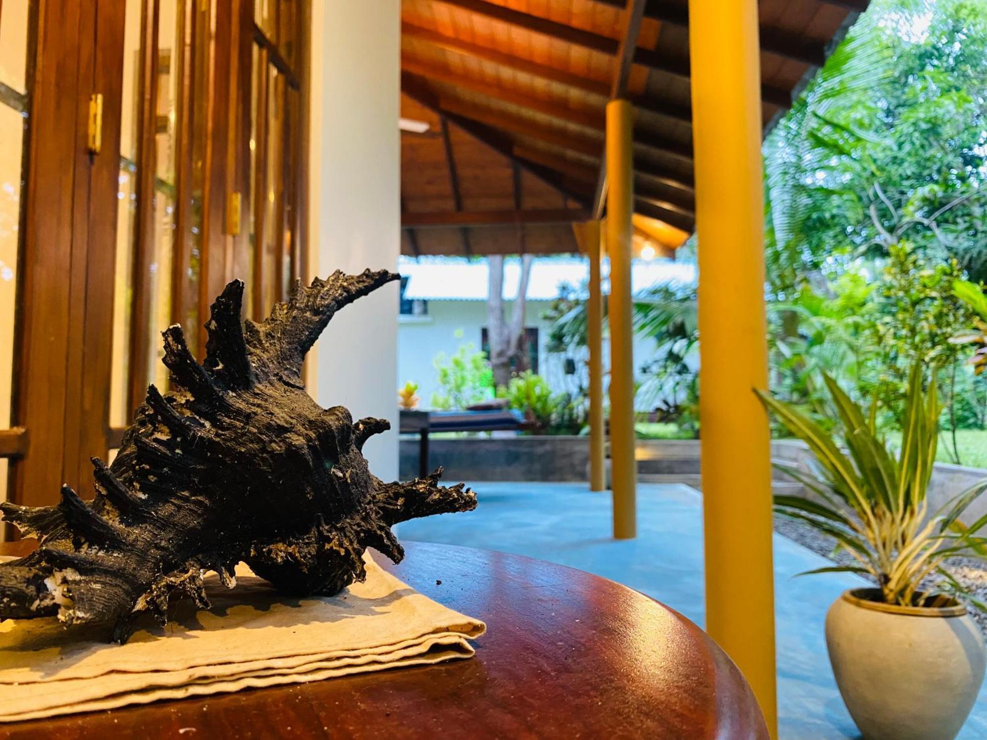 See Turtle Villa Tangalle Exterior photo